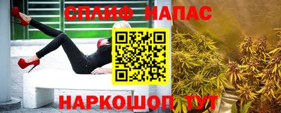 СК Будённовск