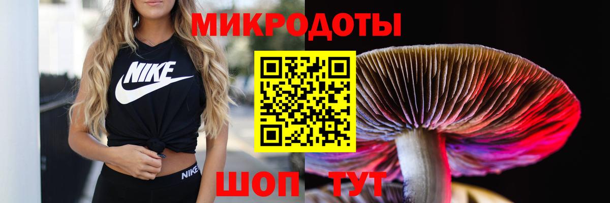 Псилоцибиновые грибы Cubensis  Вход с VPN  купить   Симферополь  Псилоцибиновые грибы Psilocybe 